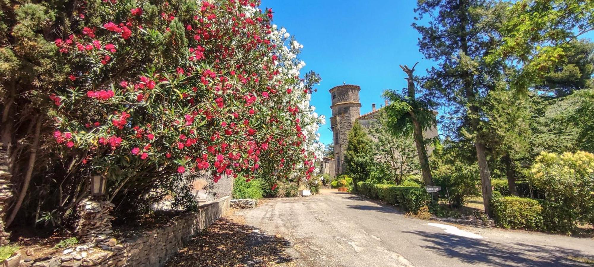 Chateau Saint-Martin Carcassone Kültér fotó